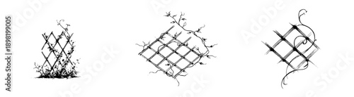 Elegant Twig Trellis: A Monochrome Artistic Print