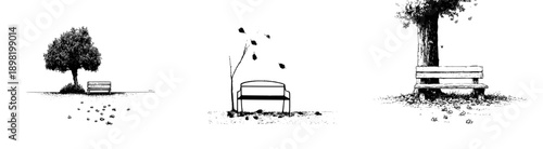 A solitary bench under the shade of a tree