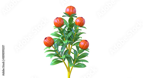 Branch with Orange Flower Buds and Green Leaves