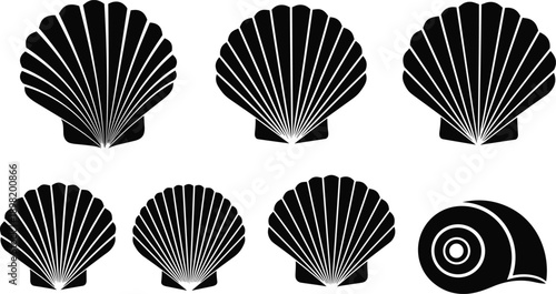 Seashell silhouette icon set featuring scallop shells and spiral shell shapes, black marine symbols, coastal nature vector illustration isolated
