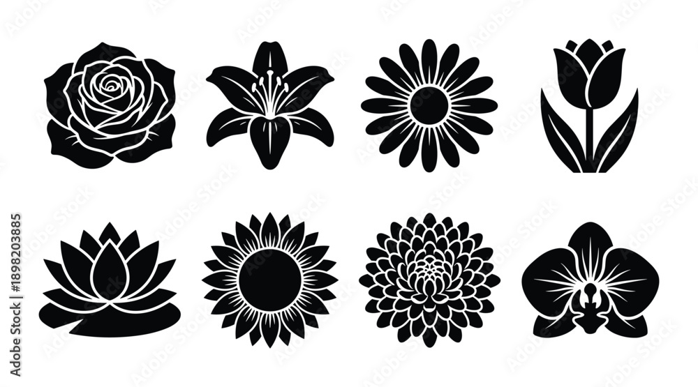 Fototapeta premium Collection of eight different flower blossom silhouettes isolated on white background, featuring a rose, lily, tulip, lotus