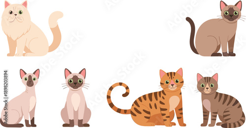 Cute Cat Breed Cartoon Characters Vector Set with Sitting Poses and Different Fur Patterns