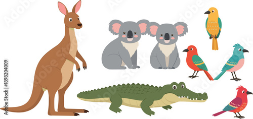 Australian Wildlife Cartoon Vector Set with Kangaroo Koala Crocodile and Colorful Native Birds