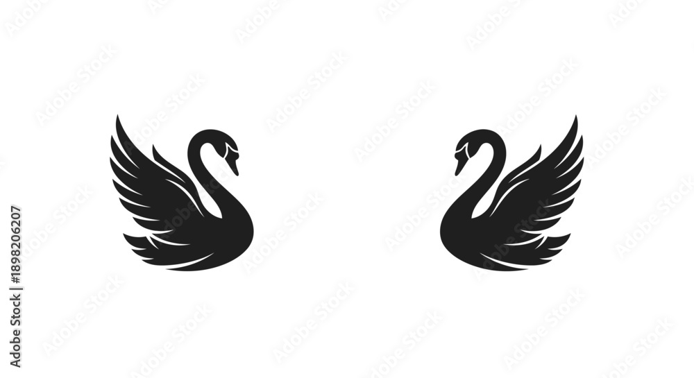 Fototapeta premium Two elegant swans with outstretched wings a striking black silhouette