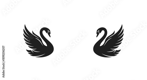 Two elegant swans with outstretched wings a striking black silhouette