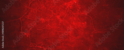 Obraz na plátně Bright cortical neurons immunostained with red fluorescent protein
