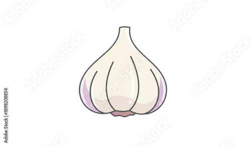Minimal Garlic Ingredient Flat Vector Illustration