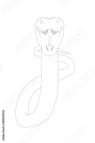A black and white anaconda contour drawing depicts the reptile with an open mouth and flicking tongue. Its detailed scales and wide, menacing eyes are clearly visible against.