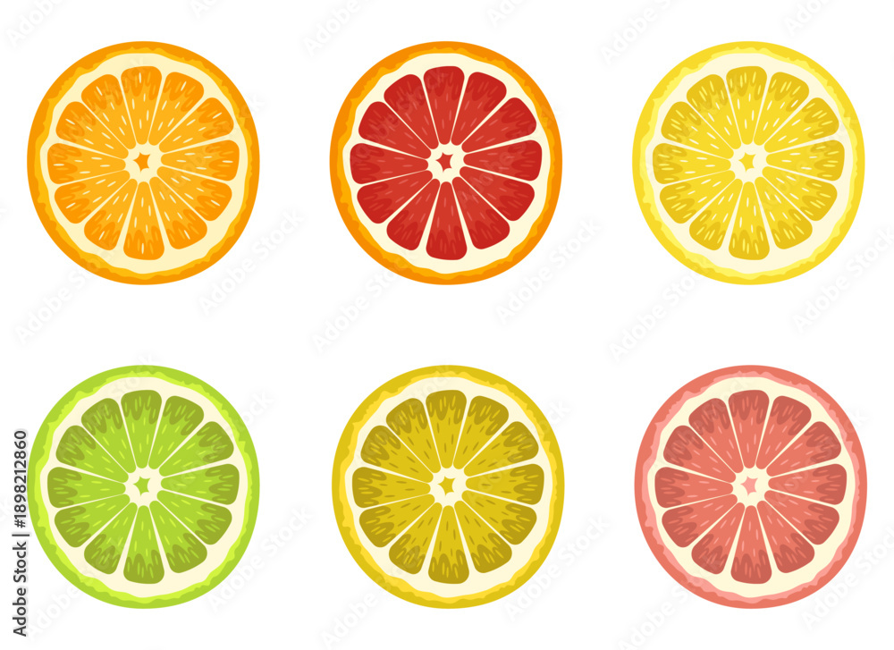 Obraz premium Citrus Slices: Colorful assortment of grapefruit, lemon, lime and orange