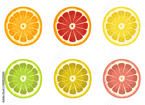 Citrus Slices: Colorful assortment of grapefruit, lemon, lime and orange