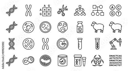 Vector Set of Genetics and Cloning Line Icons: DNA Helix, Chromosomes, CRISPR Gene Editing, Embryos, Cells, Laboratory Equipment, Biohazard Symbol, and Biotechnology Research Symbols on White.