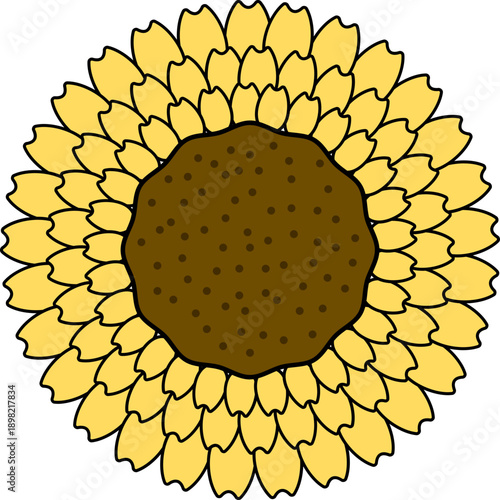 Blooming Sunflower