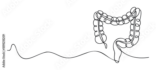 Continuous line drawing of the human large intestine representing digestive health and medical science, ideal for healthcare presentations, anatomical studies, and wellness marketing