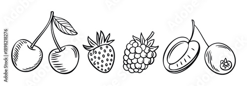 A set of various delicious summer berries and fruits depicted as black and white outline drawings, perfect for health and wellness promotions, recipe books, or kitchen decor projects.
