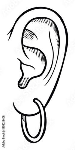 Human ear side view with a round hoop earring hand drawn in a graphic scratchboard style perfect for anatomy, medical, fashion, or body modification related projects