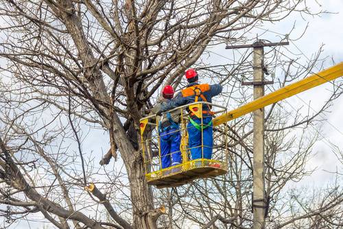 Electricians in a hydraulic aerial platform use a chainsaw to cut tree branches, ensuring safe clearance for electrical wires at height