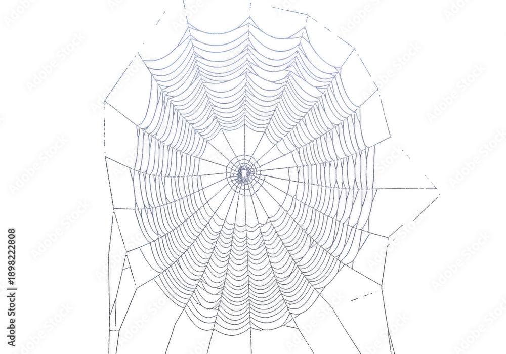 Obraz premium Detailed illustration of a spider web isolated on transparent background