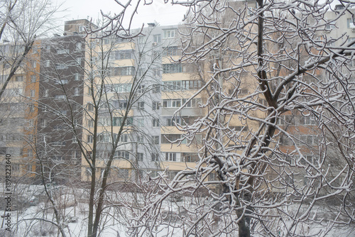 Wallpaper Mural The view from the window in the town. Close up tree branches under the snow, snowfall in the town. Snow falling on the trees. Winter background Torontodigital.ca
