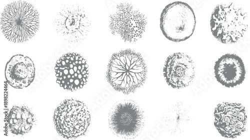 Collection of fifteen circular abstract organic textured in shades of grey