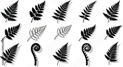 A classic collection of fern leaf silhouettes and outlines for botanical themes.
