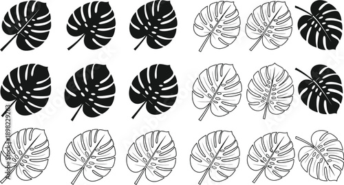 A striking arrangement of tropical monstera leaf icons in various styles.