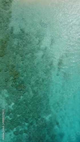 Wallpaper Mural Aquamarine Fading Into Tropical Turquoise Gradient Background Vibrant Fresh Abstract Color Transition Luminous Ocean Flow Exotic Summer Atmosphere Modern Design for Branding, Wallpapers, Digital Art,  Torontodigital.ca