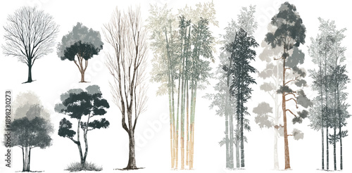 Collection of stylized trees and bamboo stalks in muted gray green and brown tones forest nature plant