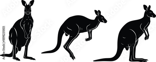 Kangaroo silhouette set, jumping and standing poses, Australian wildlife vector illustration for nature design, educational content, packaging, merchandise, tattoo, decoration, storytelling