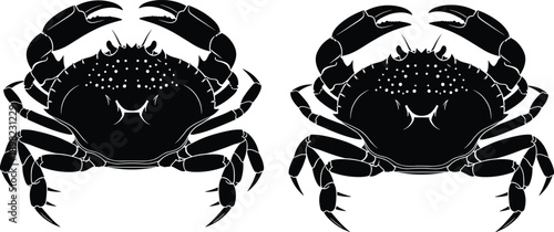 Scylla serrata mud crab vector silhouette illustration isolated on white background for seafood restaurant menu, marine biology education, and professional aquatic animal graphic design