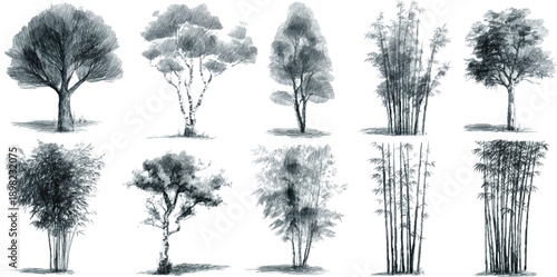 Collection of ten detailed grayscale ink wash of various trees and bamboo clusters on a white background