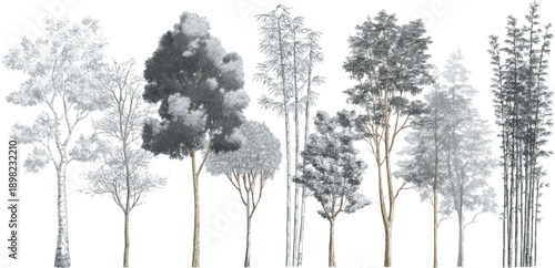 Collection of diverse trees and bamboo stalks rendered in a monochromatic grayscale artistic style forest