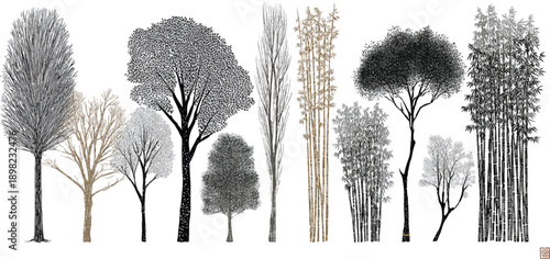 Collection of stylized trees and bamboo stalks in monochrome and sepia tones plant nature