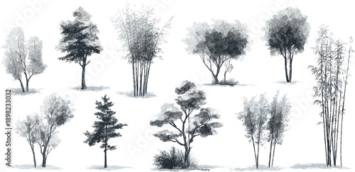 Collection of diverse trees and bamboo stalks rendered in a monochromatic style with subtle shadow details