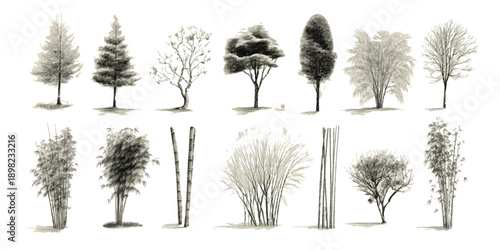 Collection of ink wash paintings of various trees and bamboo stalks on a white background