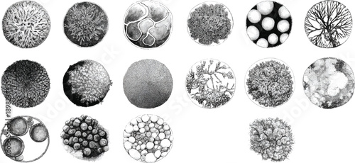 Collection of circular abstract botanical and cellular patterns in grayscale