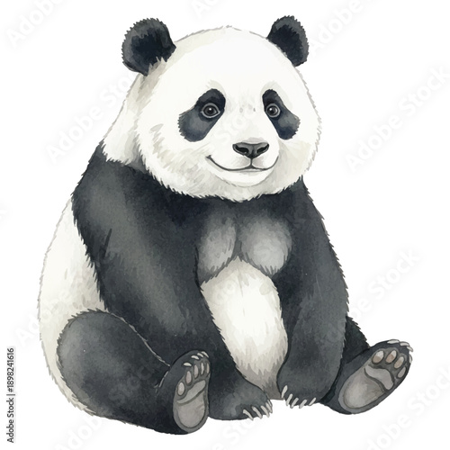 Cute Watercolor Panda Vector Illustration Isolated on White Background, Wildlife Animal Art
