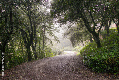 Foto Dirty road through the hills of oltrepo pavese, winery area in northern italy (lombardy region, pavia province) famous for red, white and sparkling wine production