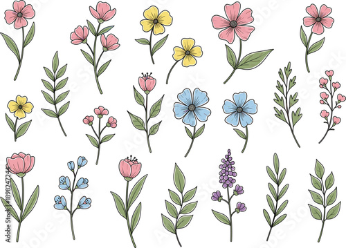 Professional Botanical Set Featuring Hand Drawn Wildflowers Garden Blooms and Leafy Sprigs in Soft Pastels for Wedding and Lifestyle Graphic Design