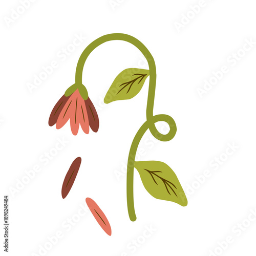 Wilted Flower from Global Warming