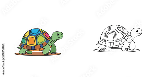 Cute cartoon turtle vector illustration with coloring book page outline. Colorful and black and white tortoise character for kids education and art.