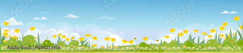 Landace spring flower field with green meadow,sky blue and cloud background.Vector Summer panoramic rural countryside green field with grass flowers in sunny day morning