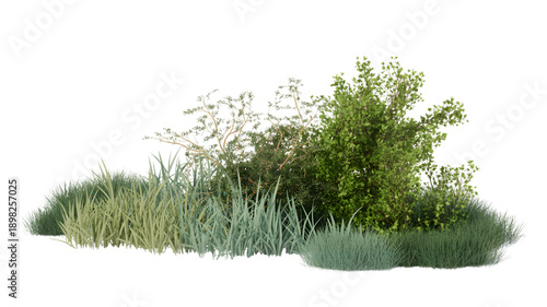 Lush green grass and shrubbery landscape isolated on transparent background