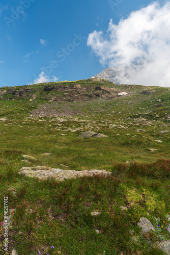 Partly rocky hill covered by meadow in Cottian Alps in Italy
