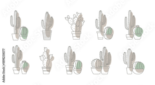 Cacti and Succulents in Pots Illustration.