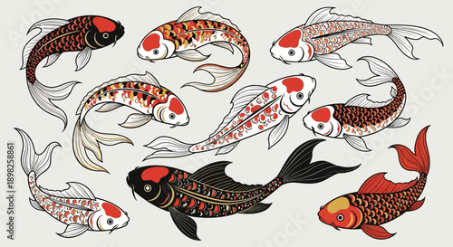 Colorful Koi Fish Swimming in Pattern.