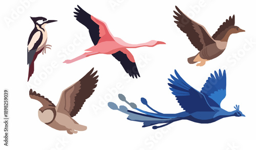Flying bird characters flat vector collection of exotic wildlife fauna isolated on white background