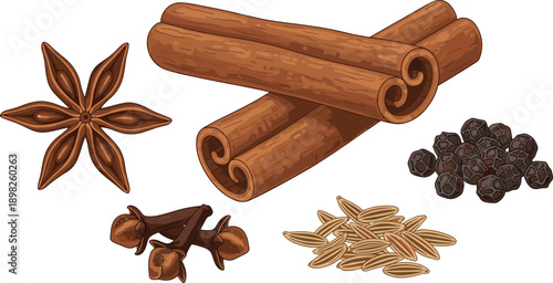Cinnamon sticks star anise cloves pepper seeds spice collection vector illustration aromatic seasoning ingredients isolated flat design