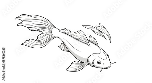 Detailed Line Drawing of Koi Fish Swimming.