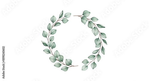 Eucalyptus Leaves Forming Circular Wreath.
