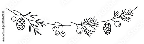 Stylized winter season decor elements featuring hand drawn pine branches with berries and pinecones ideal for holiday greeting cards and festive digital graphics